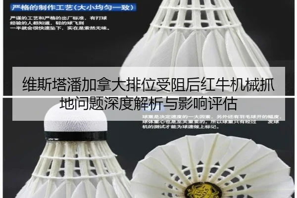 wei-si-ta-pan-jia-na-da-pai-wei-shou-zu-hou-hong-niu-ji-xie-zhua-di-wen-ti-shen-du-jie-xi-yu-ying-xiang-ping-gu-2-262.jpg